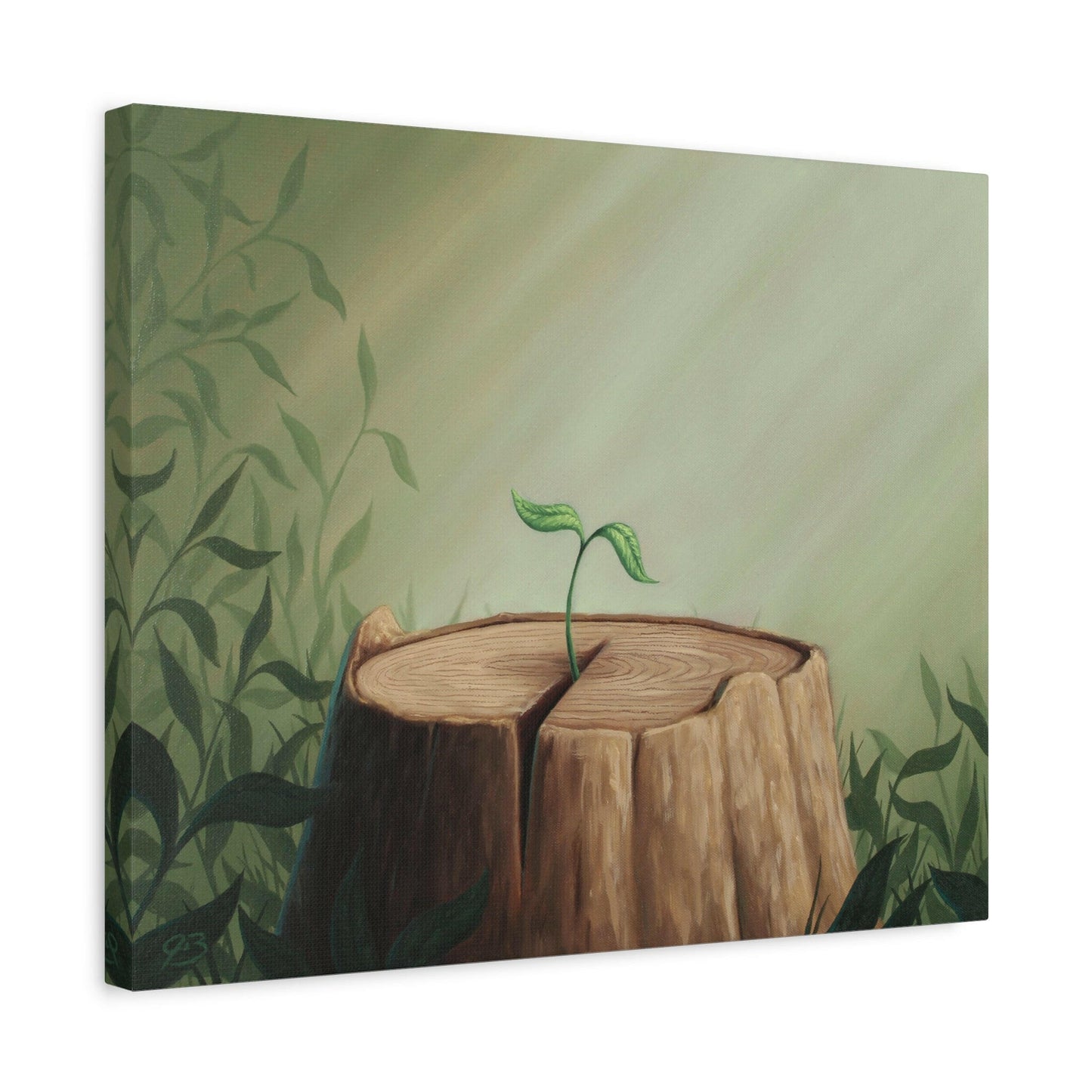New Beginnings - Limited Edition Canvas Print