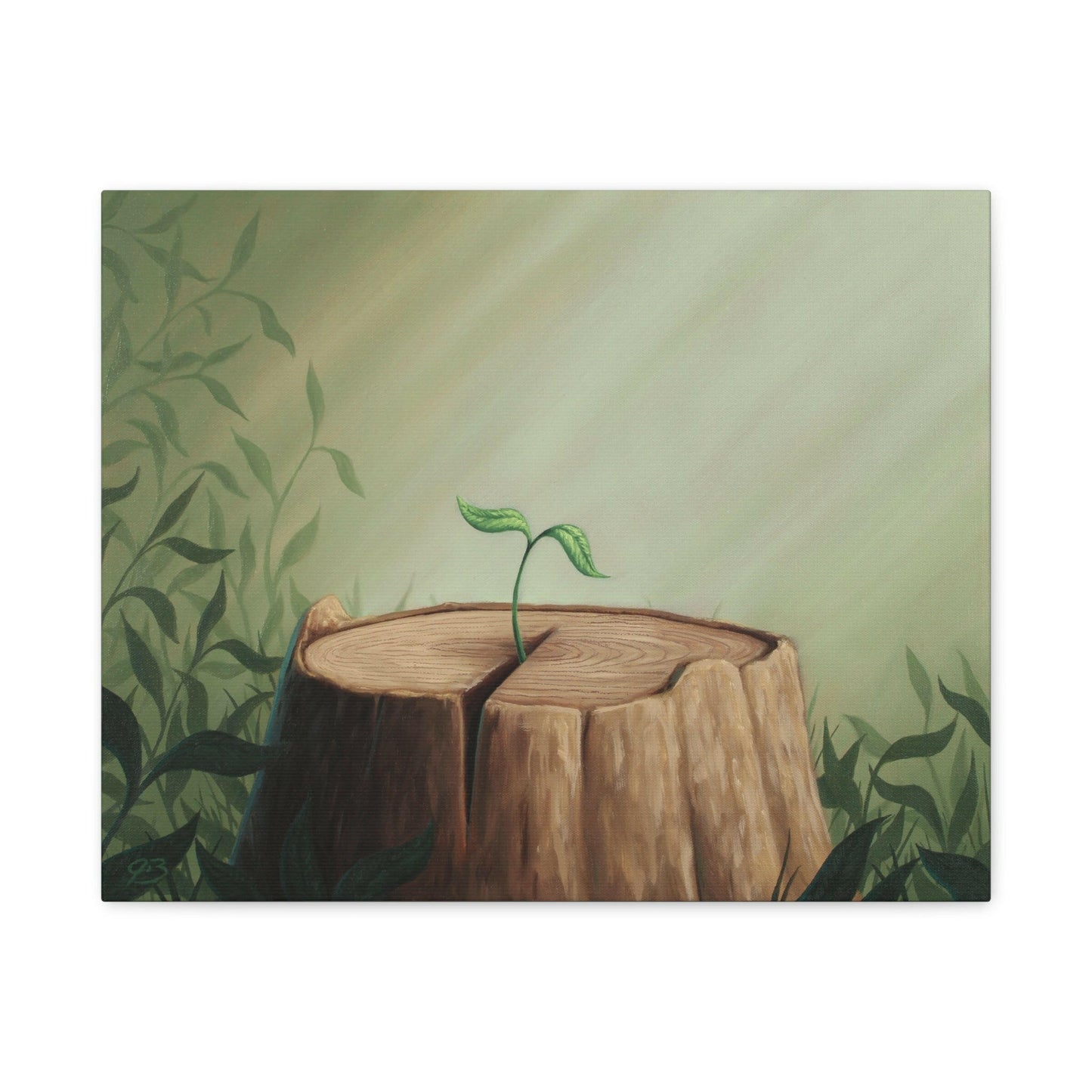 New Beginnings - Limited Edition Canvas Print