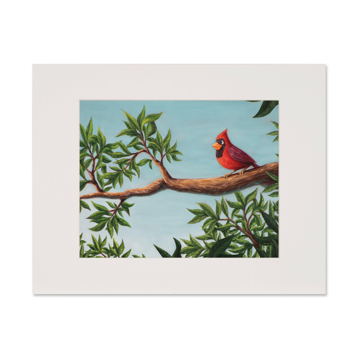 Afternoon Cardinal #2 - Open Edition Print
