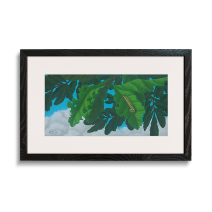 Framed and matted print of Josh Berkman's "One More Bite"