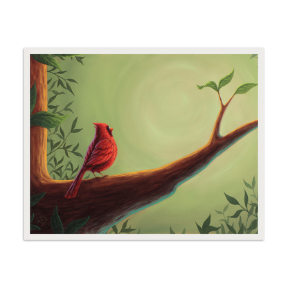 The Morning Cardinal - Paper Print