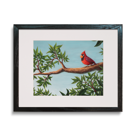 Afternoon Cardinal #2 - Paper Print