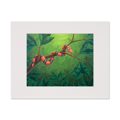 Snake on a Branch - Open Edition Print